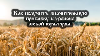 Как получить значительную прибавку к урожаю любой культуры [upl. by Bonnee]