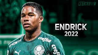 Endrick 2022 ● Palmeiras ► Amazing Skills amp Goals  HD [upl. by Toomin]