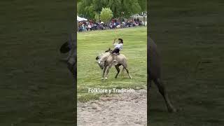 Adrian Fernández en monta Especial jinetes caballos [upl. by Sale]