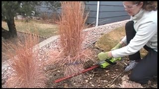 The BEST Way to Prune Ornamental Grasses [upl. by Bevus]