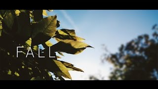 Fall 4K OnePlus One [upl. by Don]