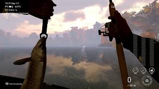 Fishing Planet  Emerald Lake  Northern Pike [upl. by Oruntha540]