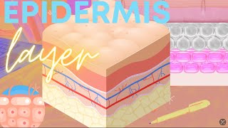 Integumentary Part 2 Epidermis Layer TagalogFilipino [upl. by Mahmud]