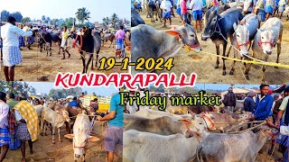 1912024 kundarapalli Friday market  valarpu kanru  price details  Krishnagiri [upl. by Crutcher]