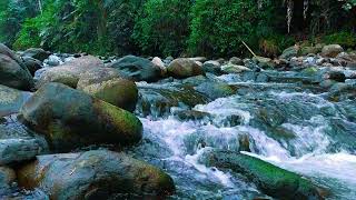 4K Relaxing River  Ultra HD Nature Video  Water Stream amp Birdsong Sounds  SleepStudyMeditate [upl. by Watkins118]