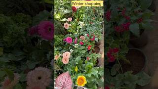 Winter Shopping with rate gardening [upl. by Eilla]