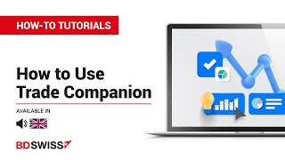 How To Use Trade Companion  BDSwiss [upl. by Tisbee150]