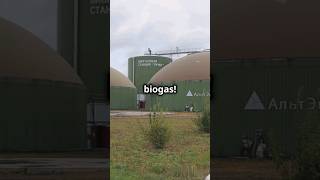 How to easily create biogas at home ♻️🔥 [upl. by Brittni432]