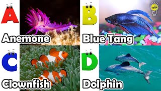 ABC phonics animals  ABC Sea Animals song  English and Animals for Kids  Alphabets Kids Song [upl. by Atnod]