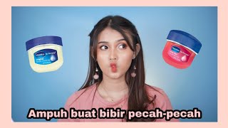 Manfaat Vaseline Lip Therapy  Ryana [upl. by Suidualc]