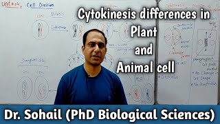 Cytokinesis differences in Plant and Animal cell  12th Biology  MDCAT Biology  UrduHindi [upl. by Israeli]