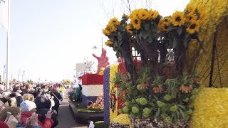 Bloemencorso 2019  Holland [upl. by Anuahsar62]