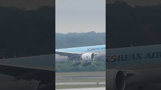 Korean Air Cargo 777200F landing at JFK airport shorts [upl. by Betthezul426]