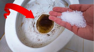 The Secret to a Spotless Toilet Say goodbye to a dirty toilet bowl forever with just salt [upl. by Aciretehs499]