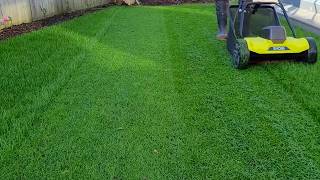 First Mow After Reno Ryegrass Lawn [upl. by Brandea]