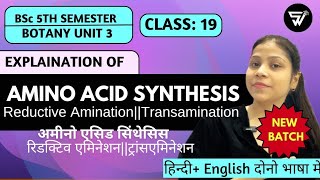 Amino Acid Synthesis in PlantsReductive Amination amp TransaminationBSc 5th Semester BOTANY Unit 3 [upl. by Kerad]