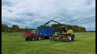 Silage 2024 Ola Gård [upl. by Pease]