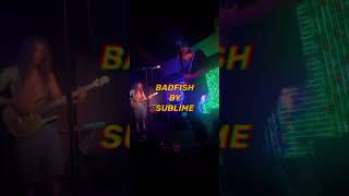 BADFISH BY SUBLIME COVERED BY THE LIP sublime reggae livemusic [upl. by Suiradal]