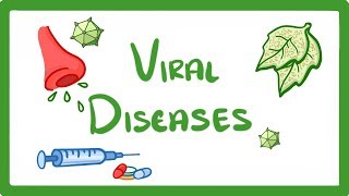 GCSE Biology  What Is a Virus  Examples of Viral Disease HIV Measles amp TMV 36 [upl. by Pazice653]