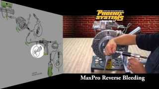 Quick Start to Reverse Brake Bleed with MaxPro Brake Bleeding Kit [upl. by Leinahtan561]