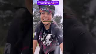 CICLISTAS SÃO PERSEGUIDOS POR CACHORROS ABANDONADOS cachorro adote resgateanimal dog rescue [upl. by Ande]