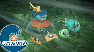 Rester à la maison Octonauts  Le dôme  Dessins animés pour enfants [upl. by Llirpa]