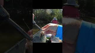 crappie fishing with a jig and bobber [upl. by Clova90]