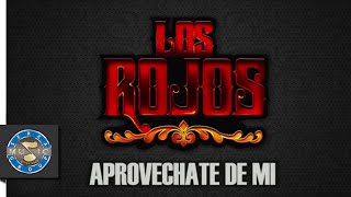 Los Rojos  Aprovechate de mi Audio [upl. by Jane817]