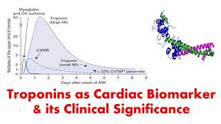 Troponins as Cardiac Biomarker its Importance ampClinical Significance  Cardiac Troponin cTnT cTnI [upl. by Ahsimak121]