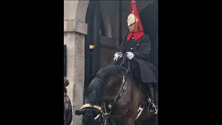 Kings guard gives the boy a nod to approach the horse horseguardsparade [upl. by Poler]