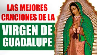 SERENATA A LA VIRGEN DE GUADALUPE  LAS MEJORES CANCIONES A LA VIRGEN DE GUADALUPE  Mix  MusiCanal [upl. by Asuncion]