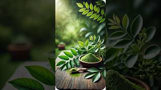 Unlock the Secret Benefits of Curry Leaves HerbalSuperFoods [upl. by Krawczyk]