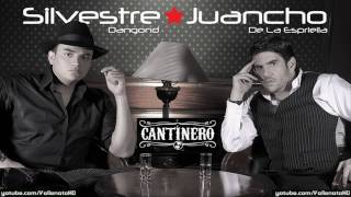 Silvestre Dangond  Habla Con Ella Cantinero  Vallenato 2010 [upl. by Maurits]