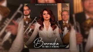 Angélica Gallegos  Borracha Te Recuerdo Disco Completo [upl. by Spanos]