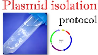 Plasmid isolation protocol [upl. by Natascha379]