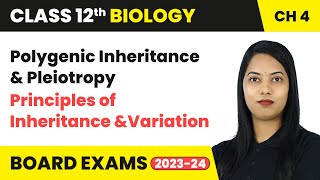 Polygenic Inheritance amp Pleiotropy  Principles of Inheritance and Variation  Class 12 Biology Ch 4 [upl. by Nnaaihtnyc787]