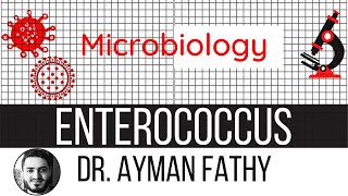 Enterococcus  USMLE Step 1 Microbiology  Dr Ayman Fathy [upl. by Aihsotal]