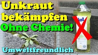 Einfaches Hausmittel Unkraut bekämpfen umweltfreundlich ohne Chemie  Gardening Tipp [upl. by Morrie]