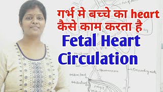 Fetal Heart Circulation lecture in hindi  What is ductus venosusforamen ovale amp ductus arteriosus [upl. by Garbers]