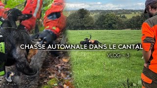 VLOG 3  CHASSE AUX SANGLIERS DANS LE CANTAL  SAISON 20242025 [upl. by Layman]