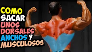 COMO Sacar 👉 UNOS DORSALES Anchos Y Musculosos  Ganar MASA MUSCULAR En La ESPALDA [upl. by Arama]