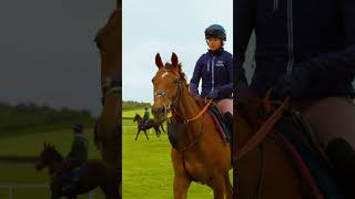 Newbury Racecourse Members Morning  Alan King Racing  horseracing horse racing sports [upl. by Forcier]