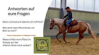 Die Westernreitstunde Antworten auf eure Fragen zu Fork und Schenkelhilfe [upl. by Belva]