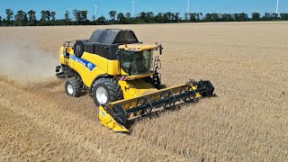 Grain Harvest  New Holland CX8060  Fendt  2024 [upl. by Anitneuq646]