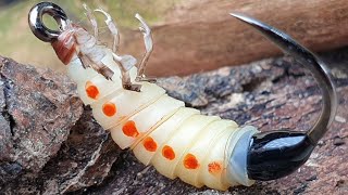 Hercules Beetle LarvaFly Tying Hercules Beetle Larva [upl. by Neyu446]