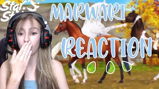 The New Marwari Horse REACTING TO SPOILERS SSO  Star Stable Online [upl. by Oyam]