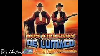 Mix Los charros de lumaco Dj Matias Bailable chile rancheras [upl. by Ynamreg458]