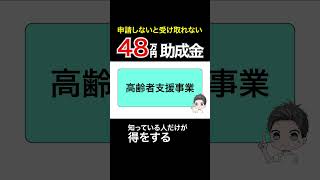 【知らないと損！】政府から48万円の給付金！申請しないと貰えない給付金・助成金制度5選！ シミュレーション お金 shorts 年金 [upl. by Aseret]