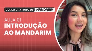 Aula 01 Introdução ao Básico do Chinês Mandarim │ Curso Básico de Mandarim 100 Gratuito [upl. by Emorej219]