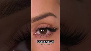 TIPS amp TRICKS False Lash Application  Shonagh Scott shorts [upl. by Malek977]